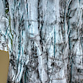 Artic Glacier Photograph by David Letts Artic Glacier Photograph by David Letts