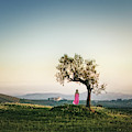 As I Survey The Wonderous... by Evelina Kremsdorf As I Survey The Wonderous... by Evelina Kremsdorf