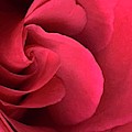 As Love Waves In... Photograph by Tiesa Wesen As Love Waves In... Photograph by Tiesa Wesen
