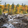 Autumn at Jay Cooke State Park by Susan Rissi Tregoning Autumn at Jay Cooke State Park by Susan Rissi Tregoning