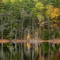 Autumn Breath by Karin Pinkham