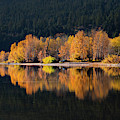 Autumn Days Photograph by Theresa Tahara Autumn Days Photograph by Theresa Tahara