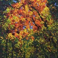 Autumn Glitter by Barrie Stark