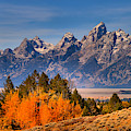 Autumn Gold In The Tetons Photograph by Adam Jewell Autumn Gold In The Tetons Photograph by Adam Jewell