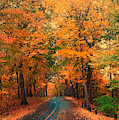 Autumn Rain Photograph by Dani McEvoy Autumn Rain Photograph by Dani McEvoy