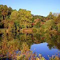 Autumn Reflection by Angie Tirado