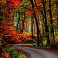 Autumn Road Photograph by Philippe Sainte-Laudy Autumn Road Photograph by Philippe Sainte-Laudy