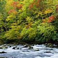 Autumn Stream Photograph by Larry Bohlin Autumn Stream Photograph by Larry Bohlin