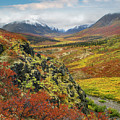 Autumn Tundra, Tombstone Range, Tombstone Territorial Park, Yukon Photograph by Tim Fitzharris Autumn Tundra, Tombstone Range, Tombstone Territorial Park, Yukon Photograph by Tim Fitzharris