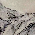 Aware Drawing by Cepiatone Fine Art Callie E Austin Aware Drawing by Cepiatone Fine Art Callie E Austin