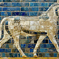 Babylonian Aurochs 01 Photograph by Weston Westmoreland Babylonian Aurochs 01 Photograph by Weston Westmoreland