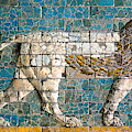 Babylonian Lion 01 Photograph by Weston Westmoreland Babylonian Lion 01 Photograph by Weston Westmoreland