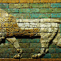 Babylonian wall tiles of lion Photograph by Steve Estvanik