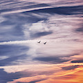 Back to the Sky Photograph by Jaroslav Buna Back to the Sky Photograph by Jaroslav Buna