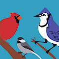 Backyard birds by Caroline Elgin
