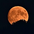 Bad Moon Rising Photograph by Dorrene BrownButterfield Bad Moon Rising Photograph by Dorrene BrownButterfield