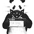 Bad panda Drawing by Balazs Solti Bad panda Drawing by Balazs Solti