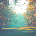 Bashful Photograph by Michelle Wermuth Bashful Photograph by Michelle Wermuth