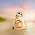 BB8 by Hsin Cheu BB8 by Hsin Cheu