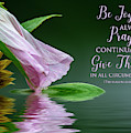 Be Joyful Photograph by Cathy Kovarik Be Joyful Photograph by Cathy Kovarik
