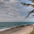 Beach Day by Steve DaPonte Beach Day by Steve DaPonte