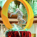 Bellagio Jean Philippe Patisserie O Cirque Du Soleil Chocolate Sculpture Photograph by Aloha Art Bellagio Jean Philippe Patisserie O Cirque Du Soleil Chocolate Sculpture Photograph by Aloha Art