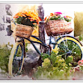 Bicycles and Bouquets Photograph by Peggy Dietz Bicycles and Bouquets Photograph by Peggy Dietz