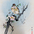 Bird and Petal Painting by Rioko Bird and Petal Painting by Rioko