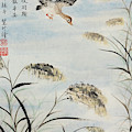 Ducks Among Lu Wei Painting by Jenny Sanders Ducks Among Lu Wei Painting by Jenny Sanders