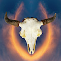 Bison Skull 001 Photograph by Rob Graham Bison Skull 001 Photograph by Rob Graham