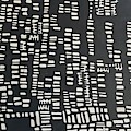 Black And White by Hila Abada Black And White by Hila Abada