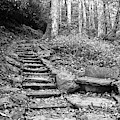 Black And White Stone Bench Photograph by Phil Perkins Black And White Stone Bench Photograph by Phil Perkins