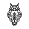 Tee Hunt Black Owl Henna Style Sweatshirt Wildlife Nature Knowledge Wisdom Sweater