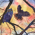 Blue Owl Painting by Anne Gifford Blue Owl Painting by Anne Gifford