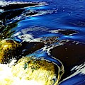 Blue to Gold Photograph by Merle Grenz Blue to Gold Photograph by Merle Grenz