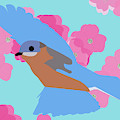 Bluebird by Caroline Elgin