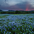 Bluebonnets At Saddle Mountain Photograph by Johnny Boyd Bluebonnets At Saddle Mountain Photograph by Johnny Boyd
