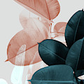 Blush and Blue Leaves Photograph by PrintsProject Blush and Blue Leaves Photograph by PrintsProject