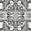 Bogomil Variation 5 by Otto Rapp Bogomil Variation 5 by Otto Rapp
