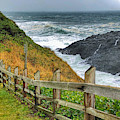 Boiler Bay Painting by Jeanette French Boiler Bay Painting by Jeanette French