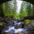 Bridge Below Rainier Photograph by Chad Dutson Bridge Below Rainier Photograph by Chad Dutson