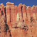 Bryce Panorama Photograph by Tom Daniel