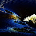 Bubble Up Photograph by Merle Grenz Bubble Up Photograph by Merle Grenz