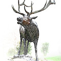 Bull Elk Mixed Media by Christina Rollo Bull Elk Mixed Media by Christina Rollo
