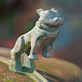Bulldog Hood Ornament Photograph by Minnie Gallman Bulldog Hood Ornament Photograph by Minnie Gallman