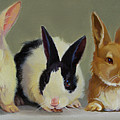 Bunny Babies Painting by Carolyne Hawley Bunny Babies Painting by Carolyne Hawley