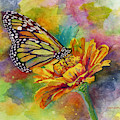 Butterfly Kiss Painting by Hailey E Herrera Butterfly Kiss Painting by Hailey E Herrera