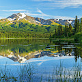 Calm by Chad Dutson Calm by Chad Dutson
