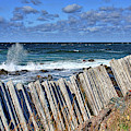 Cape Bonavista coastline fence 3 Photograph by Tatiana Travelways Cape Bonavista coastline fence 3 Photograph by Tatiana Travelways