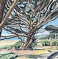 Carmel by the Sea. Painting by Luisa Millicent Carmel by the Sea. Painting by Luisa Millicent